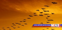 Нүүдлийн шувууд хаанаас ирдэг вэ?
