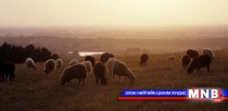 Манай улсын бэлчээрийн 60 гаруй хувь нь доройтжээ