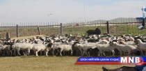Малын түүхий эд боловсруулах үйлдвэрийг 2018 онд ашиглалтад оруулна