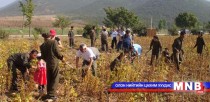 Ургац хураалт бусад улстай харьцуулахад 1.5-2 дахин бага байна