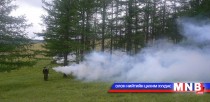 Хортон шавж устгал 90 хувьтай байна 