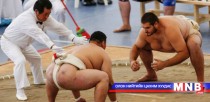 Сүмогийн ДАШТ-д манай тамирчид багаараа мөнгө, хүрэл медаль хүртлээ 