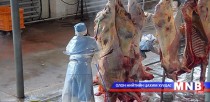 Монголын үйлдвэрүүдэд ОХУ-ын зах зээлд мах экспортлох эрх нээлттэй