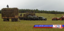 Дорнод аймгаас 80 мянган тонн хадлан бэлтгэнэ