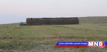 Сүхбаатар аймаг 3836 тонн өвс бэлтгээд байна
