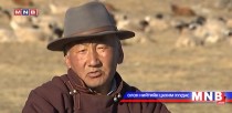 Д.Гандибазар: Малчин бүр малын хашаагаа битүүлж, утаан хөшиг тавьж сурвал өвлийг өнтэй давна