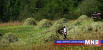 Өвөрхангайд өвөлжилтийн бэлтгэл 80 гаруй хувьтай байна