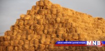 Боодол өвс 1600-1800 төгрөгийн үнэтэй байна