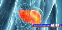 Элэгний С вирусын эсрэг Харвони эмийг 22 эмийн сангаар борлуулна