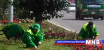 Нийслэлийн ногоон байгууламжийг нэмэгдүүлэхэд хамтран ажиллана