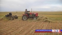 Ховд аймаг 8 мянга гаруй тонн өвс нөөцөлжээ