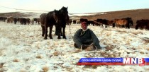 Адууг жил бүр дор хаяж 90 орчим хоног алсын оторт явуулахыг зөвлөдөг
