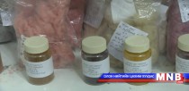 Монгол эрдэмтэд ургамлаас ноосны будаг гаргажээ