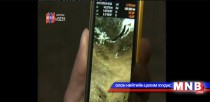 Монголчууд сансрын хиймэл дагуултай холбоо тогтоох оролдлого хийжээ