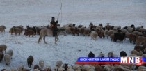 Зүүн аймагт өвөлжилт хэвийн байна