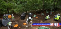 Японы Засгийн газар цацрагт бохирдсон ойг цэвэрлэхгүй байж магадгүй