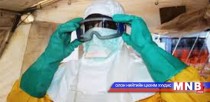 Парагвай улсад зика вируст халдвар бүртгэгджээ 