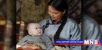 Хар халзан туулай