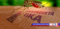 Зика вирусаас урьдчилан сэргийлэх тарилга боловсруулахад 2 жил шаардлагатай