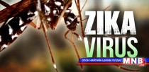Энэ онд Зика вмрусаар 4 сая хүн өвчилж болзошгүй