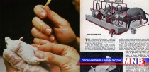 “Хулганын сүү” дэлхийн хамгийн үнэтэй сүү 