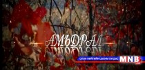 Амьдрал №2