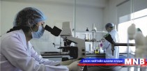 Ингэний сүүг лабораторийн судалгаанд оруулна  