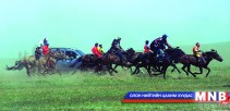 Хурдан удамт хүлгүүд эзэддээ очлоо