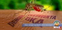 Европ тивд жирэмсэн эмэгтэй Зика вирусын халдвар авсан анхны тохиолдол бүртгэгдлээ