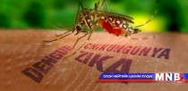 Зика вирусээс сэргийлэхийн тулд хаалга, цонхондоо тор татах хэрэгтэй