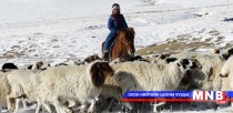 100-гаас доош малтай өрхүүдэд 55 сая төгрөгийн бэлэн мөнгөний дэмжлэг үзүүлнэ