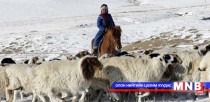 Отрын малчид нутаг буцаж байна