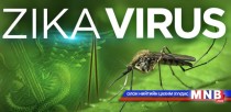 Зика вирус, микроцефали эмгэгийн уялдаа холбоог судалж байна
