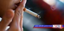Янжуур, дүнсэн тамхи импортлогч аж ахуйн нэгжүүдэд зөвлөмж хүргүүллээ