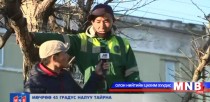 Хаврын улиралд ногоон байгууламжийг хэрхэн арчлах вэ