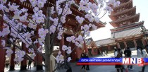 Япон улс 2020 он гэхэд 40 сая гадаадын жуулчин хүлээн авахыг зорьж байна