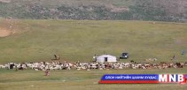 Малчид бэлчээрээ доройтуулвал хариуцлага хүлээнэ