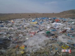 Хогийг “амилуулж” болно