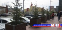 Нийслэлийн хэмжээнд ногоон байгууламжийн ажил эхэллээ