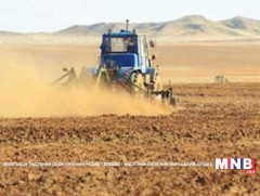 Энэ сарын 25 гэхэд тариалалтаа дуусгахыг зөвлөж байна