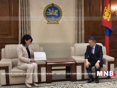 Тавантолгойн ордыг ашиглах тогтоолын төслийг мэдүүллээ