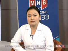 Монгол оронд зонхилон амьдардаг шумуул, түүний төрлүүд