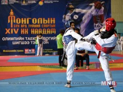 Өсвөрийн таэквондочид аваргаа тодрууллаа