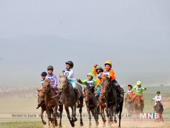 Хурдан морьдын уралдааны бэлтгэл ажил 90 хувьтай байна