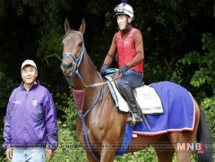 Д.Ганбаатарын 