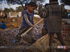 76 ажлын байранд хүүхэд ажиллуулахыг хоригложээ