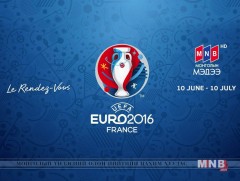 ЕВРО-2016:  Герман-Словак /давталт/ 