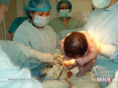 Эх барих эмэгтэйчүүдийн салбарт олон улсын туршлагыг нэвтрүүлнэ