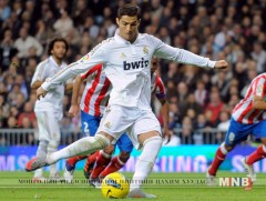 Португалын бут ниргэлт