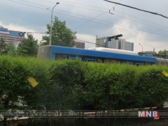 Гудамж, талбайд хөрс ариутгах, улиасны унгирал хийсэлтийг багасгах ажлыг хийж байна